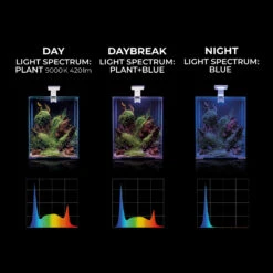 AQUAEL Leddy Smart 2.0 Plants 6W Noir Lampe Leds Auto-réparantes Spéciale Plantes 8000°K Pour Nano-aquarium 12 AQUAEL Leddy Smart 2.0 Plants 6W Noir Lampe Leds Auto-réparantes Spéciale Plantes 8000°K Pour Nano-aquarium -Aquarium Équipement 124223 leddy smart plant dn white 07 light spectrum 447 2