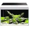 AMTRA Modern Tank 50 LED Aquarium équipé 40L Dimensions 50,5 X 25,5 X 40 Cm De Haut