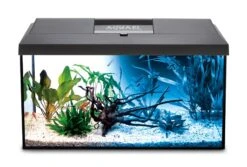 AQUAEL Leddy 60 Noir Day & Night Aquarium équipé 60 X 30 X 30 Cm, 54L Avec éclairage LEDs 7W