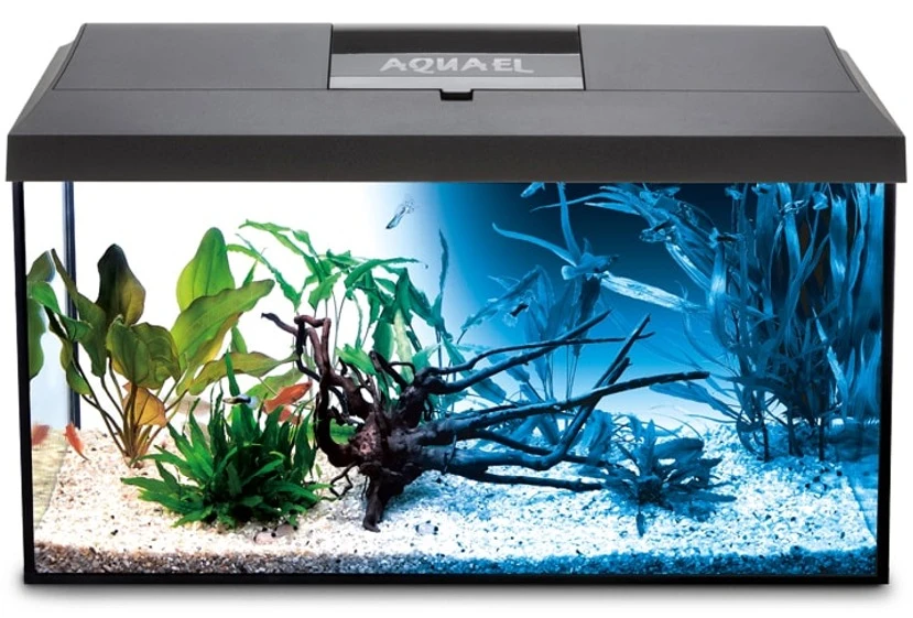 AQUAEL Leddy 75 Noir Day & Night 2.0 Aquarium équipé 75 X 35 X 40 Cm, 105L Avec éclairage LEDs 14W 1 AQUAEL Leddy 75 Noir Day & Night 2.0 Aquarium équipé 75 X 35 X 40 Cm, 105L Avec éclairage LEDs 14W