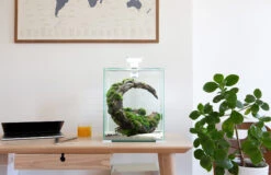 AQUAEL ShrimpSet Day & Night 30 Blanc Nano-aquarium 30L Tout équipé 29 X 29 X 35 Cm -Aquarium Équipement aquael shrimpset day night 4 1