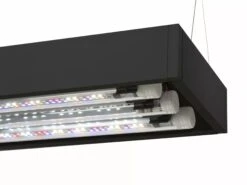 AQUAEL UltraScape 60 Set Forest Aquarium 64L Dimensions 60 X 30 X 36 Cm. Avec Ou Sans Meuble -Aquarium Équipement aquael ultrascape 60 set forest aquarium 64l dimensions 60 x 30 x 36 cm avec ou sans meuble 3