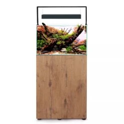 AQUAEL UltraScape 60 Set Forest Aquarium 64L Dimensions 60 X 30 X 36 Cm. Avec Ou Sans Meuble