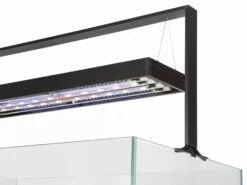 AQUAEL UltraScape 90 Set Forest Aquarium 240L Dimensions 90 X 60 X 45 Cm. Avec Ou Sans Meuble 15 AQUAEL UltraScape 90 Set Forest Aquarium 240L Dimensions 90 X 60 X 45 Cm. Avec Ou Sans Meuble -Aquarium Équipement aquael ultrascape 90 set forest aquarium 240l dimensions 90 x 60 x 45 cm avec ou sans meuble 4