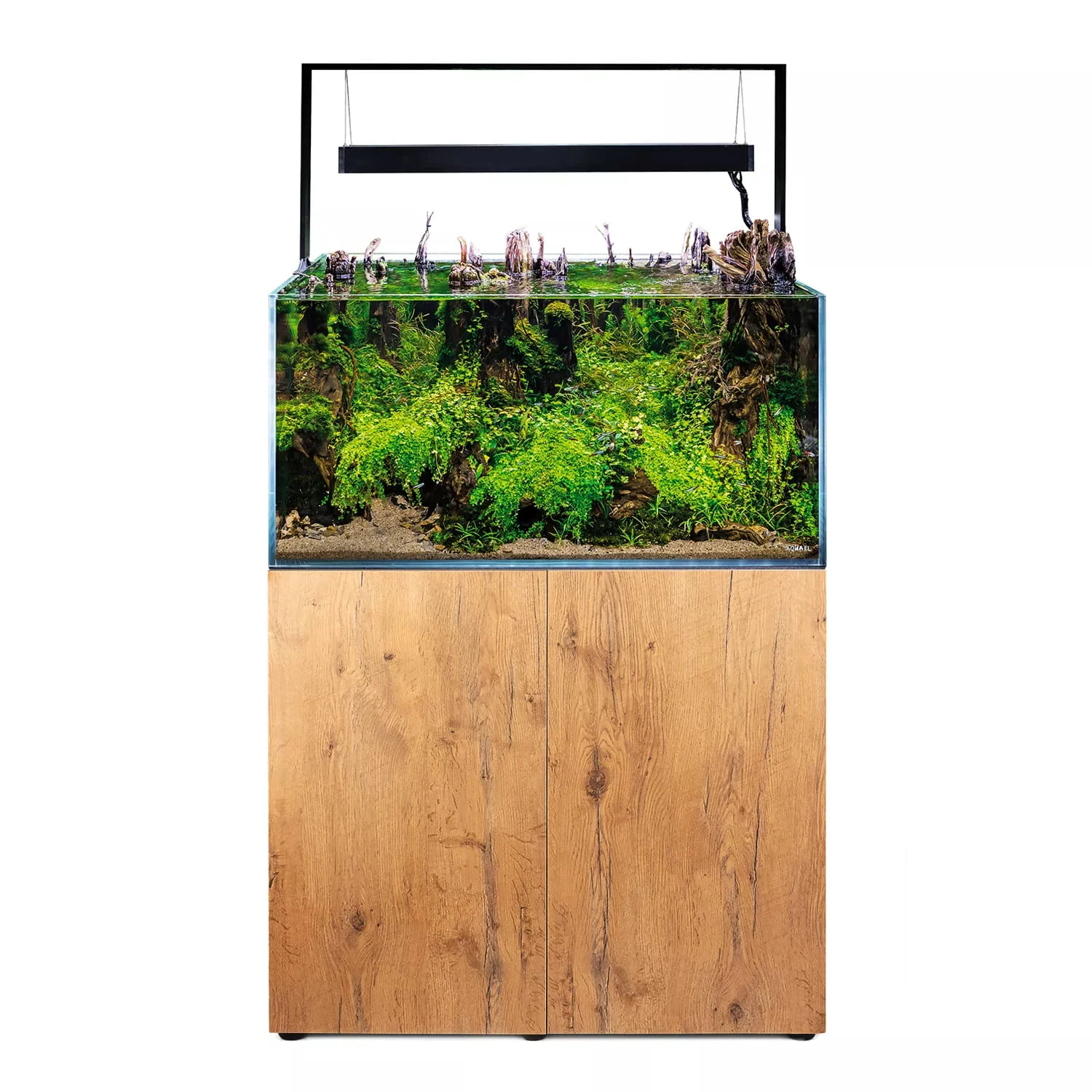 AQUAEL UltraScape 90 Set Forest Aquarium 240L Dimensions 90 X 60 X 45 Cm. Avec Ou Sans Meuble 1 AQUAEL UltraScape 90 Set Forest Aquarium 240L Dimensions 90 X 60 X 45 Cm. Avec Ou Sans Meuble
