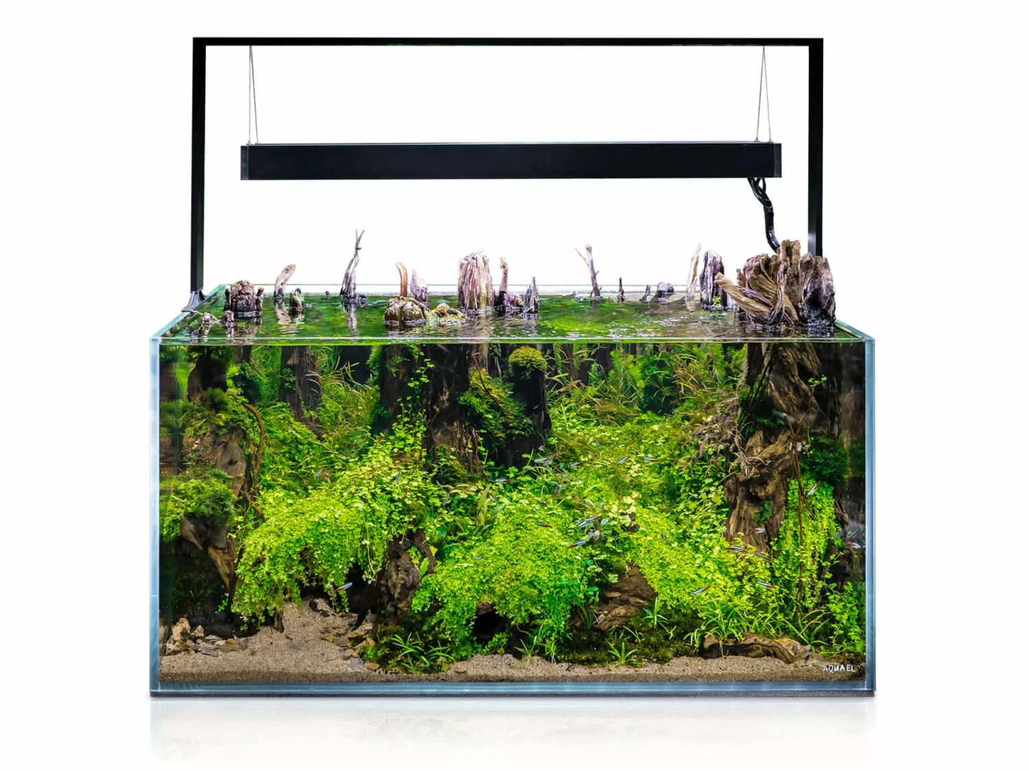 AQUAEL UltraScape 90 Set Forest Aquarium 240L Dimensions 90 X 60 X 45 Cm. Avec Ou Sans Meuble 2 AQUAEL UltraScape 90 Set Forest Aquarium 240L Dimensions 90 X 60 X 45 Cm. Avec Ou Sans Meuble – Image 2