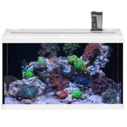 EHEIM AquaStart 63 LED Marin Blanc Aquarium équipé Eau De Mer 60 Cm 63L Disponible Avec Ou Sans Meuble 10 EHEIM AquaStart 63 LED Marin Blanc Aquarium équipé Eau De Mer 60 Cm 63L Disponible Avec Ou Sans Meuble -Aquarium Équipement aquarium eheim aquastar 63 marin led blanc 1