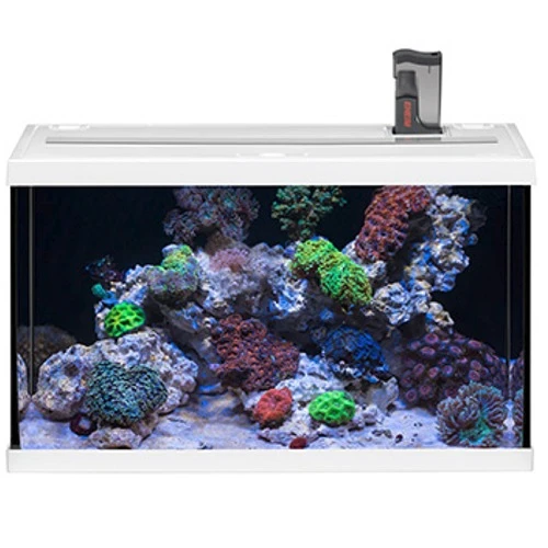 EHEIM AquaStart 63 LED Marin Blanc Aquarium équipé Eau De Mer 60 Cm 63L Disponible Avec Ou Sans Meuble 4 EHEIM AquaStart 63 LED Marin Blanc Aquarium équipé Eau De Mer 60 Cm 63L Disponible Avec Ou Sans Meuble – Image 4