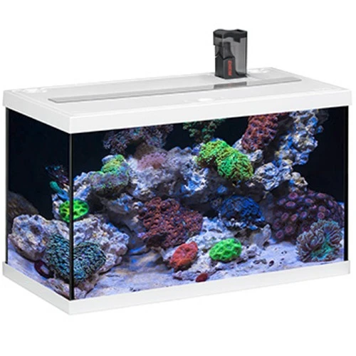 EHEIM AquaStart 63 LED Marin Blanc Aquarium équipé Eau De Mer 60 Cm 63L Disponible Avec Ou Sans Meuble 1 EHEIM AquaStart 63 LED Marin Blanc Aquarium équipé Eau De Mer 60 Cm 63L Disponible Avec Ou Sans Meuble