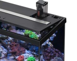EHEIM AquaStart 63 LED Marin Noir Aquarium équipé Eau De Mer 60 Cm 63L Disponible Avec Ou Sans Meuble 10 EHEIM AquaStart 63 LED Marin Noir Aquarium équipé Eau De Mer 60 Cm 63L Disponible Avec Ou Sans Meuble -Aquarium Équipement aquarium eheim aquastar 63 marin led noir 1