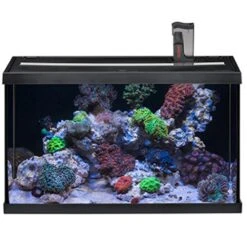 EHEIM AquaStart 63 LED Marin Noir Aquarium équipé Eau De Mer 60 Cm 63L Disponible Avec Ou Sans Meuble 11 EHEIM AquaStart 63 LED Marin Noir Aquarium équipé Eau De Mer 60 Cm 63L Disponible Avec Ou Sans Meuble -Aquarium Équipement aquarium eheim aquastar 63 marin led noir
