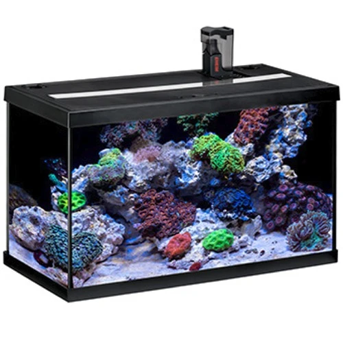 EHEIM AquaStart 63 LED Marin Noir Aquarium équipé Eau De Mer 60 Cm 63L Disponible Avec Ou Sans Meuble 1 EHEIM AquaStart 63 LED Marin Noir Aquarium équipé Eau De Mer 60 Cm 63L Disponible Avec Ou Sans Meuble