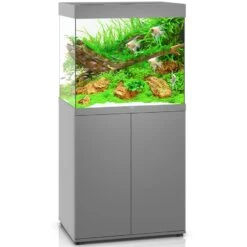 Aquarium JUWEL Lido 200 LED 71 X 51 X 65 Cm 200L - Gris, Blanc, Noir Ou Chêne Clair, Avec Ou Sans Meuble SBX
