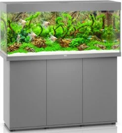 Aquarium JUWEL Rio 240 LED Dim. 121 X 41 X 55 Cm 240L - Gris, Blanc, Noir, Brun Ou Chêne Clair, Avec Ou Sans Meuble SBX