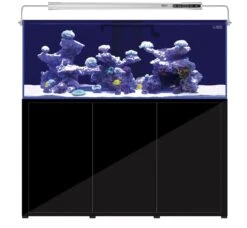 AQUARIUM SYSTEMS L'Aquarium 720 Noir Version 2.0 Combinaison Aquarium 464 L Et Meuble