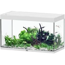 AQUATLANTIS Sublime Pro LED 2.0 100 X 50 X 60 Cm Blanc Haute Brillance Aquarium équipé 300 L