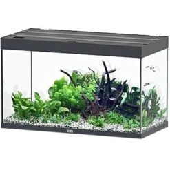 AQUATLANTIS Sublime Pro LED 2.0 100 X 50 X 60 Cm Gris Anthracite Brillant Aquarium équipé 300 L