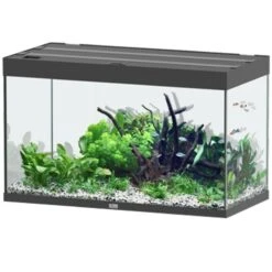 AQUATLANTIS Sublime Pro LED 2.0 100 X 50 X 60 Cm Noir Haute Brillance Aquarium équipé 300 L