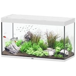 AQUATLANTIS Sublime Pro LED 2.0 120 X 50 X 70 Cm Blanc Haute Brillance Aquarium équipé 400 L