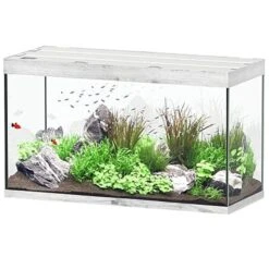 AQUATLANTIS Sublime Pro LED 2.0 120 X 50 X 70 Cm Chêne Blanc Aquarium équipé 400 L