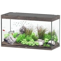 AQUATLANTIS Sublime Pro LED 2.0 120 X 50 X 70 Cm Chêne Sauvage Brun Aquarium équipé 400 L