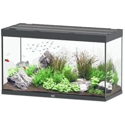 AQUATLANTIS Sublime Pro LED 2.0 120 X 50 X 70 Cm Gris Anthracite Brillant Aquarium équipé 400 L