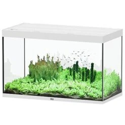 AQUATLANTIS Sublime Pro LED 2.0 120 X 60 X 75 Cm Blanc Haute Brillance Aquarium équipé 517 L