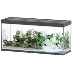 Aquarium Équipement 24 AQUATLANTIS Sublime Pro LED 2.0 150 X 50 X 70 Cm Gris Anthracite Brillant Aquarium équipé 501 L