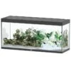 AQUATLANTIS Sublime Pro LED 2.0 150 X 50 X 70 Cm Noir Haute Brillance Aquarium équipé 501 L