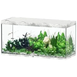 AQUATLANTIS Sublime Pro LED 2.0 150 X 60 X 75 Cm Béton Aquarium équipé 648 L