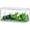 AQUATLANTIS Sublime Pro LED 2.0 150 X 60 X 75 Cm Chêne Blanc Aquarium équipé 648 L