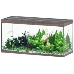 AQUATLANTIS Sublime Pro LED 2.0 150 X 60 X 75 Cm Chêne Sauvage Brun Aquarium équipé 648 L