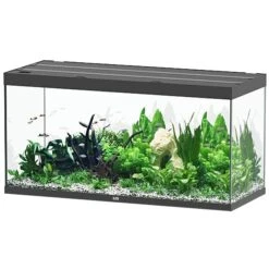 AQUATLANTIS Sublime Pro LED 2.0 150 X 60 X 75 Cm Noir Haute Brillance Aquarium équipé 648 L