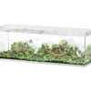 AQUATLANTIS Sublime Pro LED 2.0 200 X 60 X 75 Cm Chêne Blanc Aquarium équipé 816 L