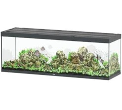 AQUATLANTIS Sublime Pro LED 2.0 200 X 60 X 75 Cm Gris Anthracite Brillant Aquarium équipé 816 L