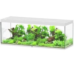 Aquarium Équipement 48 AQUATLANTIS Sublime Pro LED 2.0 200 X 70 X 75 Cm Blanc Haute Brillance Aquarium équipé 1016 L
