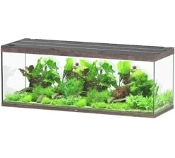 Aquarium Équipement 36 AQUATLANTIS Sublime Pro LED 2.0 200 X 70 X 75 Cm Chêne Sauvage Brun Aquarium équipé 1016 L