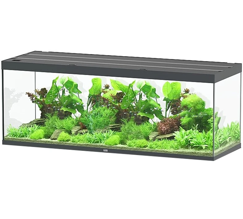 AQUATLANTIS Sublime Pro LED 2.0 200 X 70 X 75 Cm Gris Anthracite Brillant Aquarium équipé 1016 L 1 AQUATLANTIS Sublime Pro LED 2.0 200 X 70 X 75 Cm Gris Anthracite Brillant Aquarium équipé 1016 L