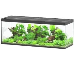 AQUATLANTIS Sublime Pro LED 2.0 200 X 70 X 75 Cm Noir Haute Brillance Aquarium équipé 1016 L