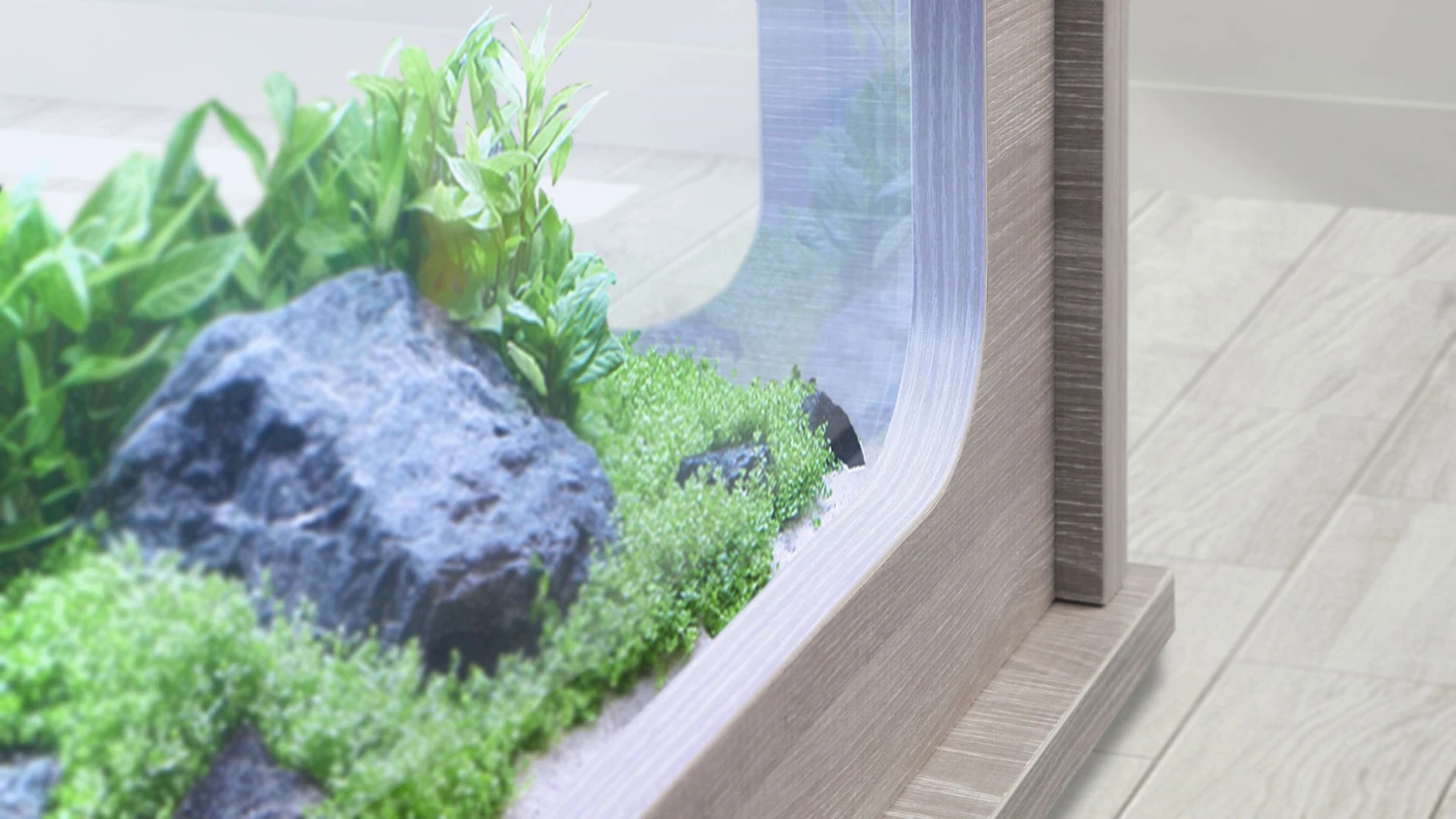 AQUATLANTIS AquaTable Noir 100 X 63 Cm Aquarium 177 L Type Table Basse Tout équipé 3 AQUATLANTIS AquaTable Noir 100 X 63 Cm Aquarium 177 L Type Table Basse Tout équipé – Image 3