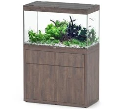 AQUATLANTIS Combinaison Sublime Pro LED 2.0 100 X 50 X 60 Cm Chêne Sauvage Brun Aquarium 300 L Avec Meuble