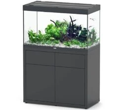 AQUATLANTIS Combinaison Sublime Pro LED 2.0 100 X 50 X 60 Cm Gris Anthracite Brillant Aquarium 300 L Avec Meuble