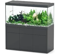 AQUATLANTIS Combinaison Sublime Pro LED 2.0 150 X 60 X 75 Cm Gris Anthracite Brillant Aquarium 648 L Avec Meuble