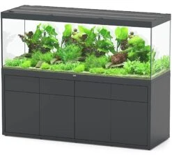 AQUATLANTIS Combinaison Sublime Pro LED 2.0 200 X 70 X 75 Cm Gris Anthracite Brillant Aquarium 1016 L Avec Meuble