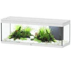 AQUATLANTIS Prestige 120 LED Blanc Aquarium équipé 217 L - Dimensions : 120 X 40 X 45 Cm