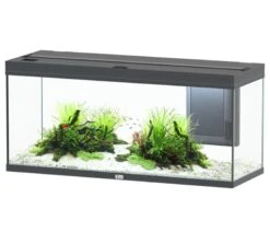 AQUATLANTIS Volga 240 Anthracite Mate Aquarium équipé 295 L - Dimensions : 122,5 X 42,7 X 55,4 Cm