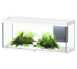 Nouvelles versions 15 AQUATLANTIS Volga 240 Blanc Aquarium équipé 295 L - Dimensions : 122,5 X 42,7 X 55,4 Cm