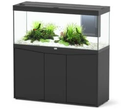 AQUATLANTIS Combinaison Volga 240 Noir Aquarium équipé 295 L Avec Meuble Inclus