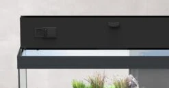 AQUATLANTIS Combinaison Volga 240 Anthracite Mate Aquarium équipé 295 L Avec Meuble Inclus -Aquarium Équipement aquatlantis volga 240 noir aquarium equipe 295 l dimensions 122 5 x 42 7 x 55 4 cm 3 5