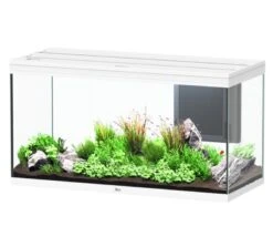 Nouvelles versions 9 AQUATLANTIS Volga 350 Blanc Aquarium équipé 427 L - Dimensions : 122,5 X 52,7 X 66,1 Cm